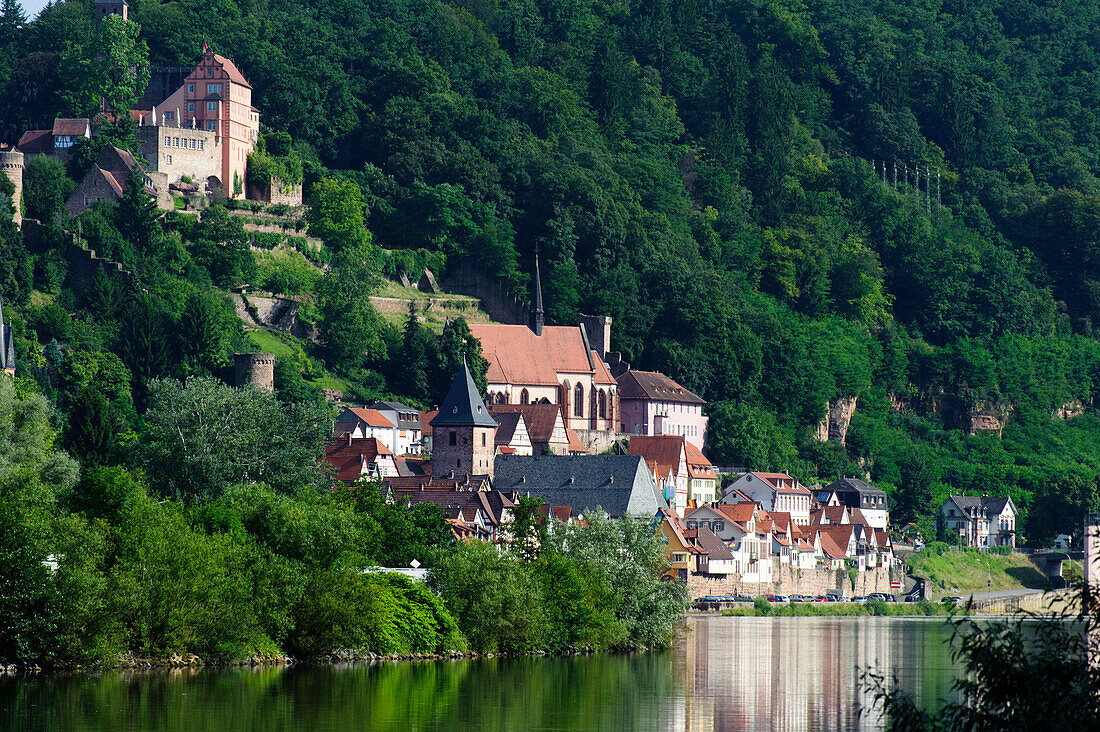 Old town with Hirschhorn castle, Hirschhorn on the river Neckar, Hesse, Germany