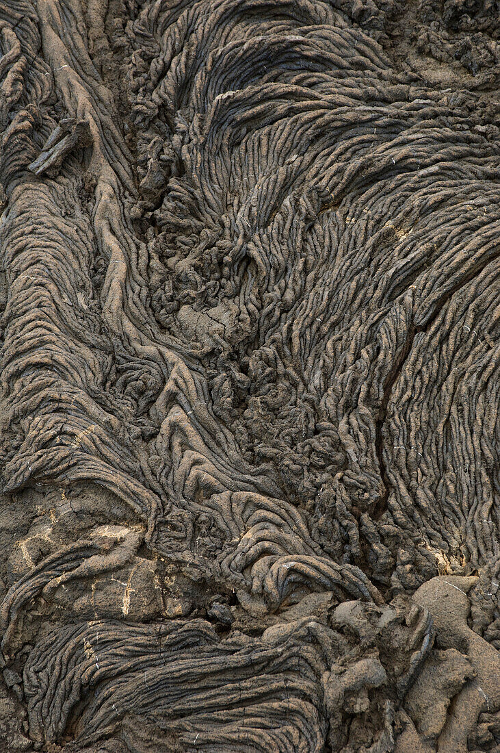 Cool pahoehoe lava, Santiago Island, Galapagos Islands, Ecuador