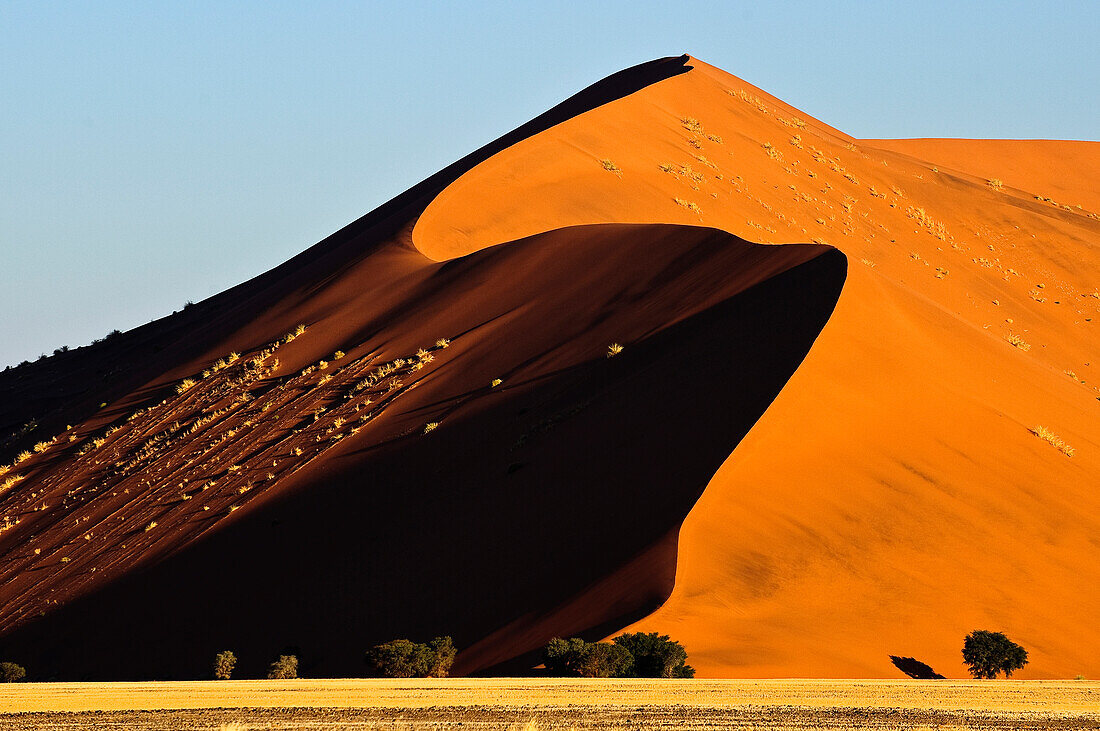 Sand dune, Namib Desert, Namibia