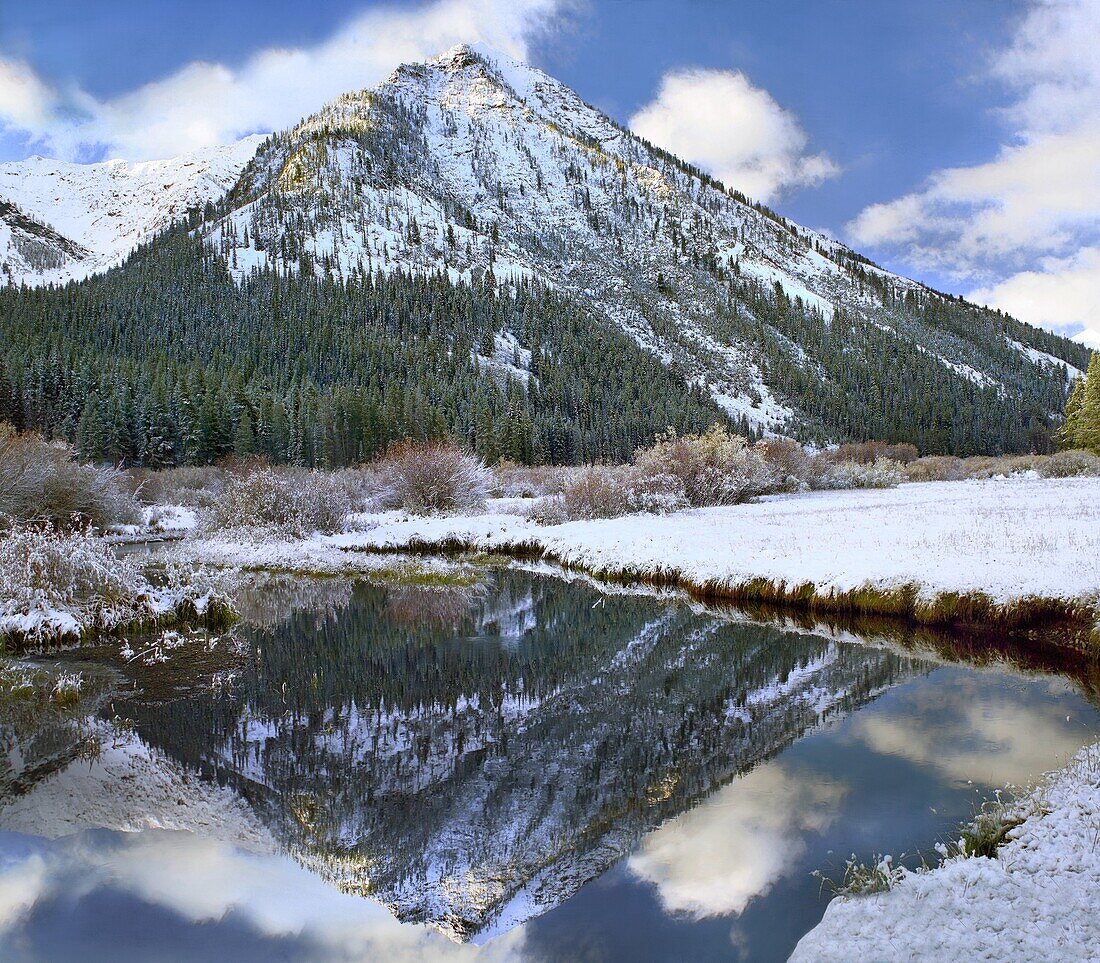 Phi Kappa Mountain and Summit Creek, Idaho