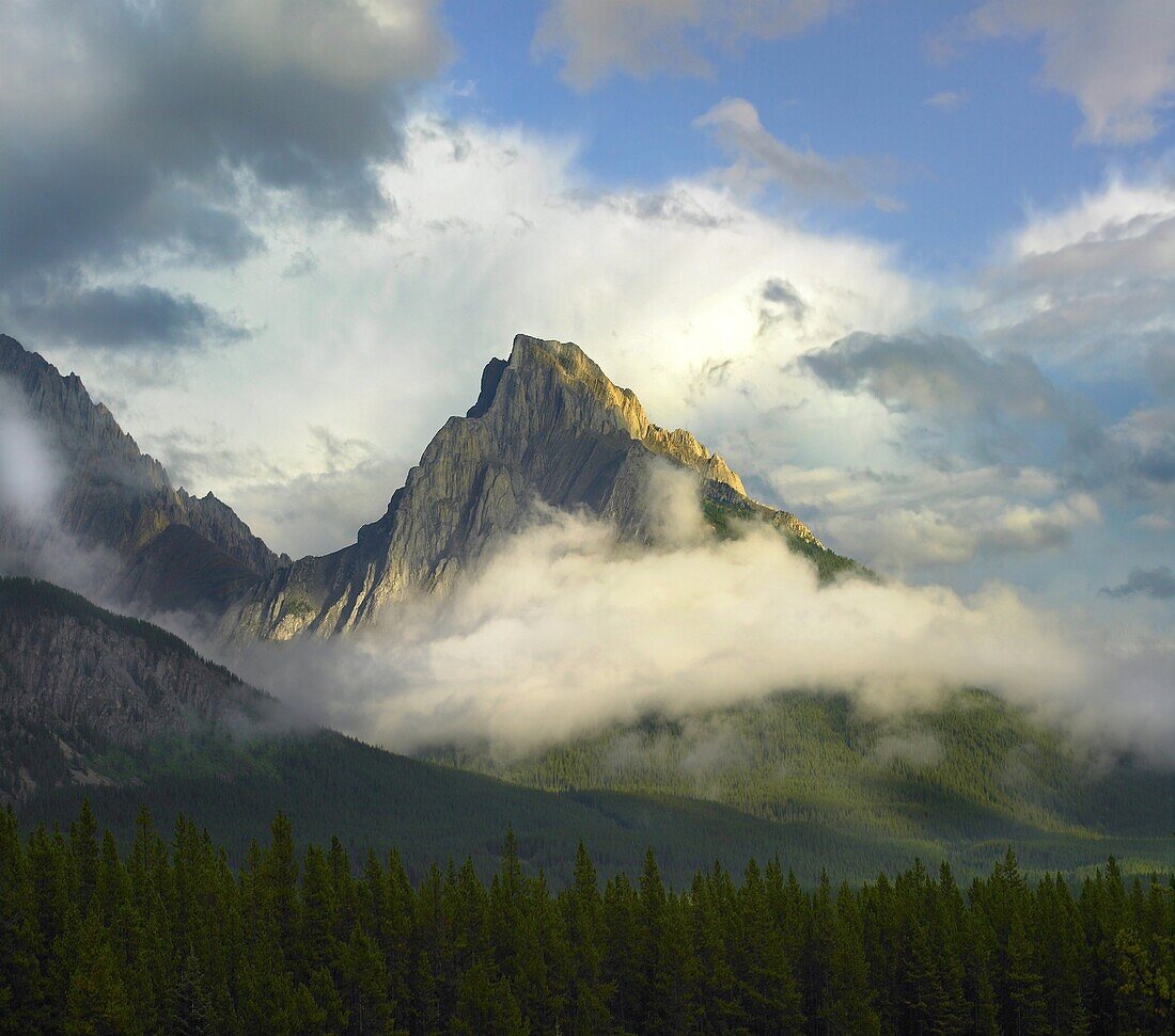 Opal Range surrounded by fog, Kananaskis Country, Alberta, Canada