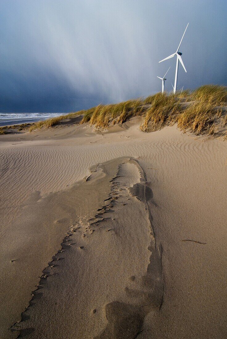 Sand dunes on Maasvlakte beach near wind turbines, Maasvlakte, Netherlands
