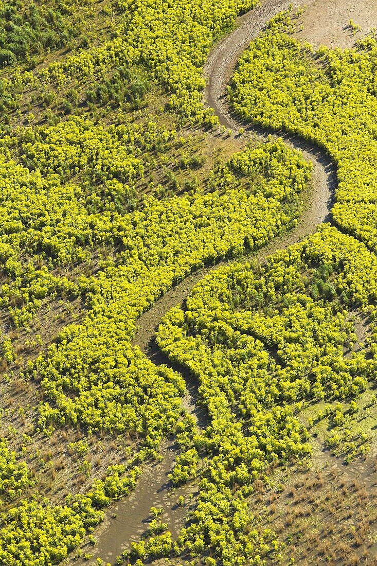 Creek in moor of wetland reserve, Lelystad, Netherlands