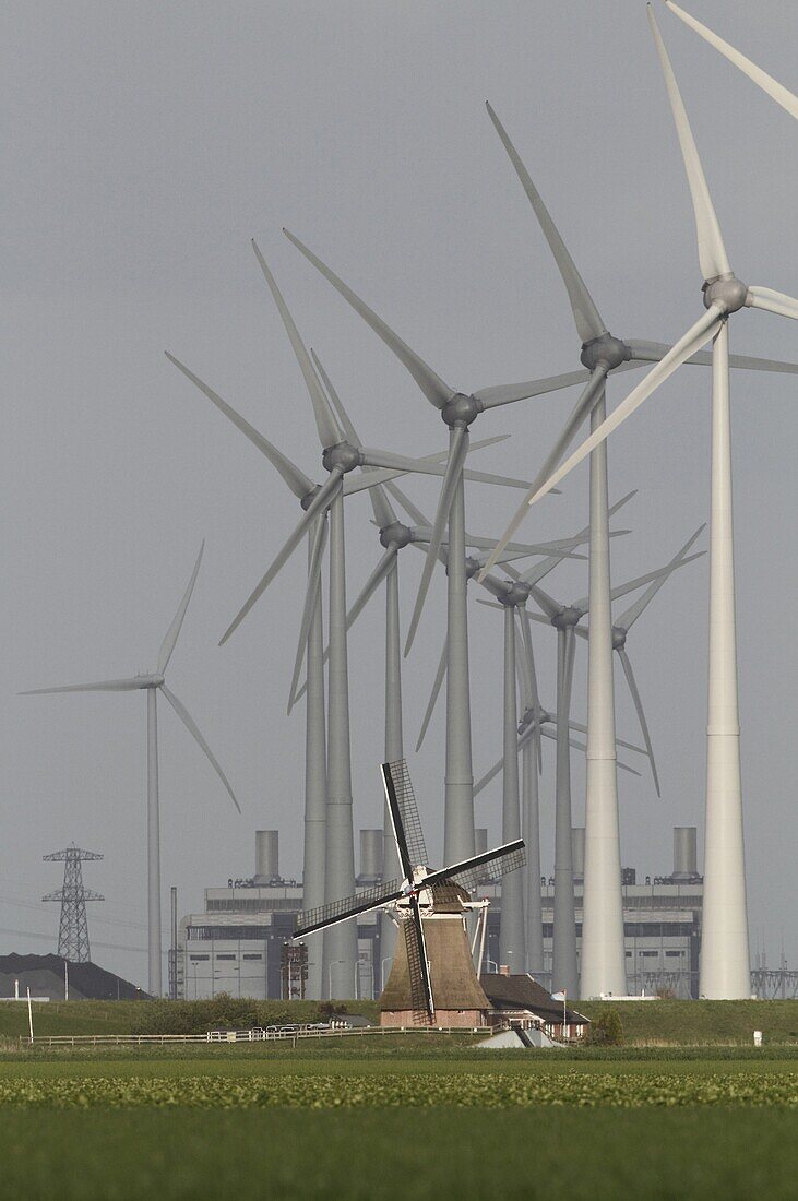 Windmill amidst wind turbine farm, Eemshaven, Netherlands