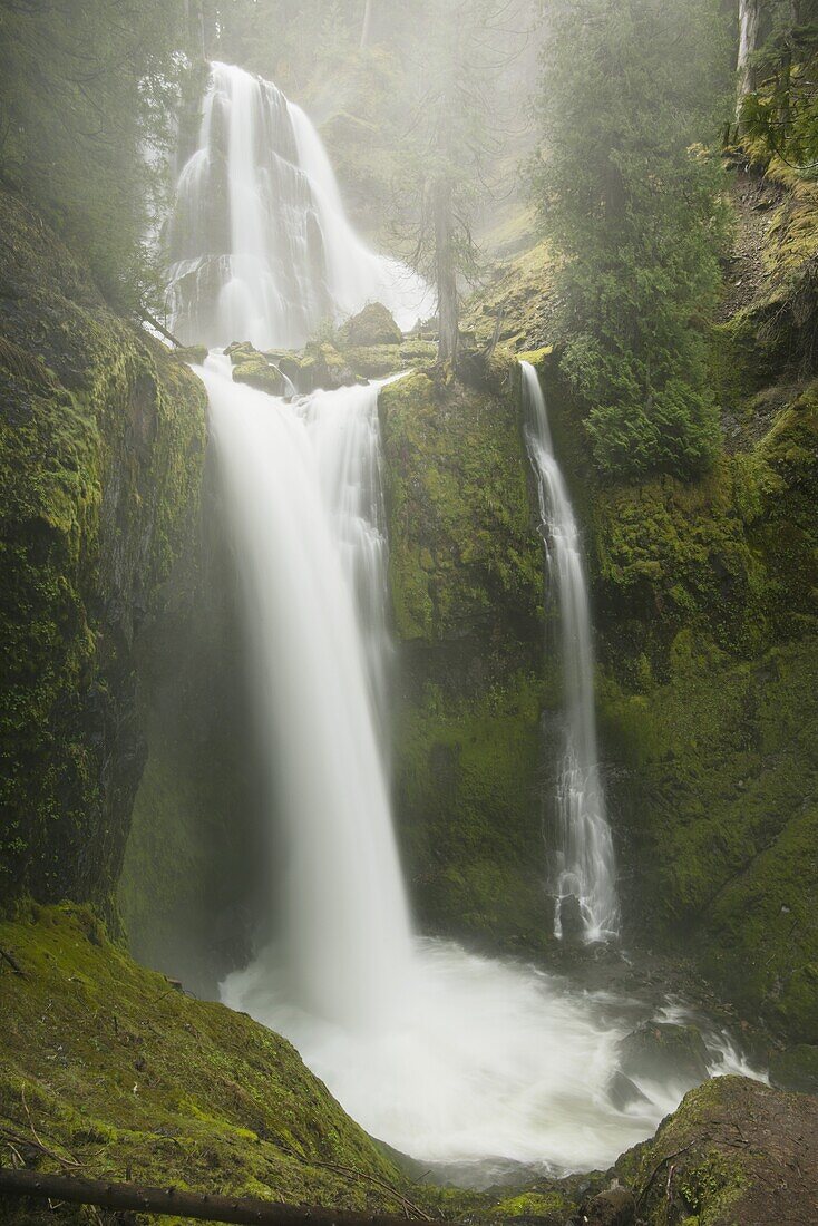 Falls Creek Falls, Gifford Pinchot National Forest, Washington