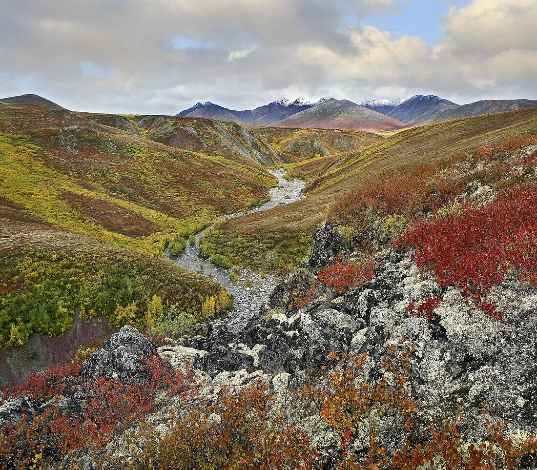 River flowing through tundra, Ogilvie Mountains, Tombstone Territorial Park, Yukon, Canada