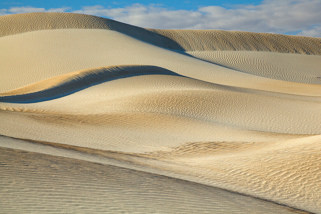 Sand dunes sculpted by wind, Cactus Beach, South Australia, Australia