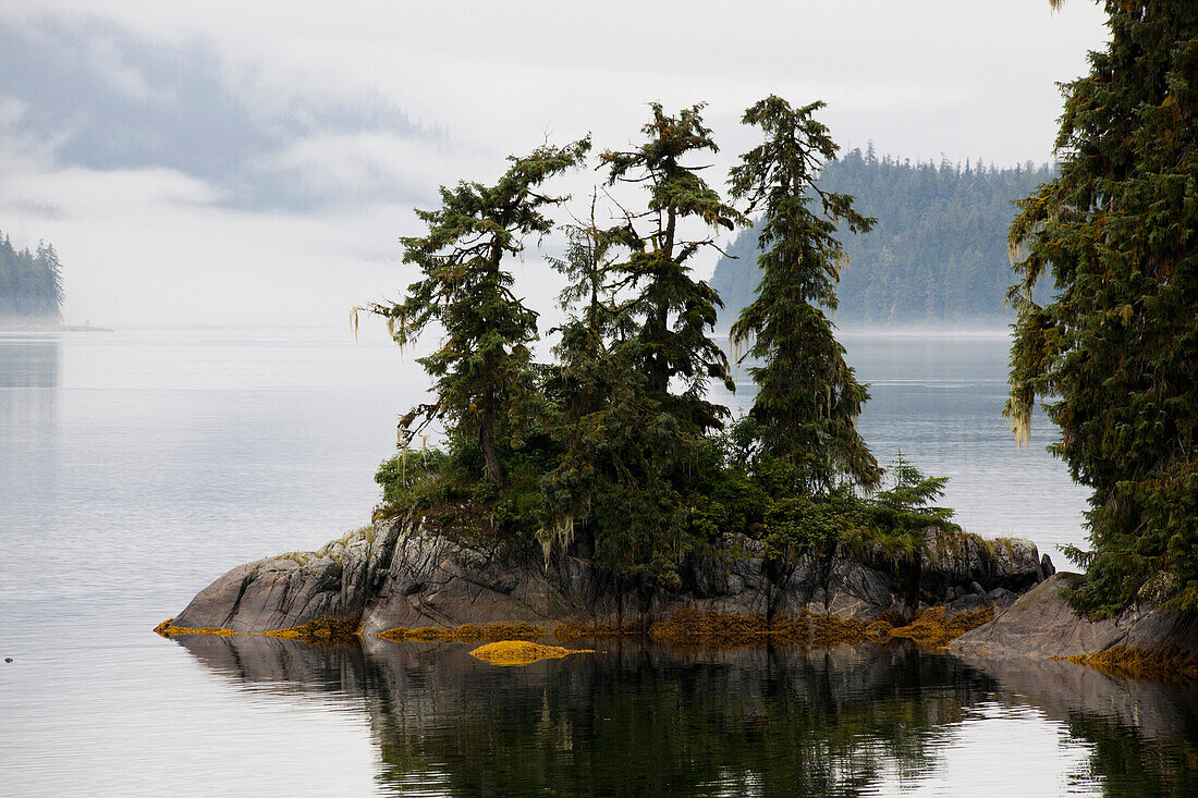 Trees on rock outcrop in Anan Bay, Wrangell Island in background, Tongass National Forest, Alaska