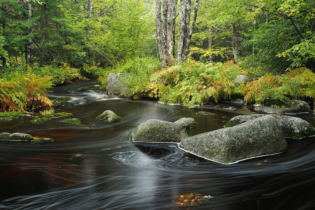 Upper Bear River in early autumn, Nova Scotia, Canada