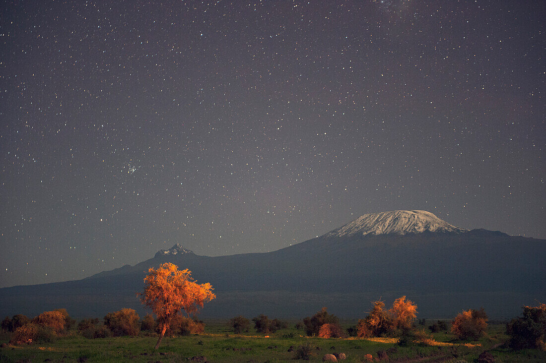 Night sky over Mount Kilimanjaro, Amboseli National Park, Kenya