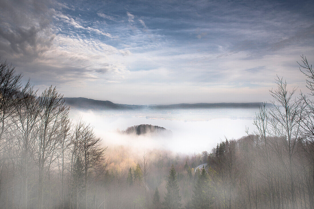 Kochelsee im Morgennebel, Kochel, Alpen, Oberbayern, Bayern, Deutschland