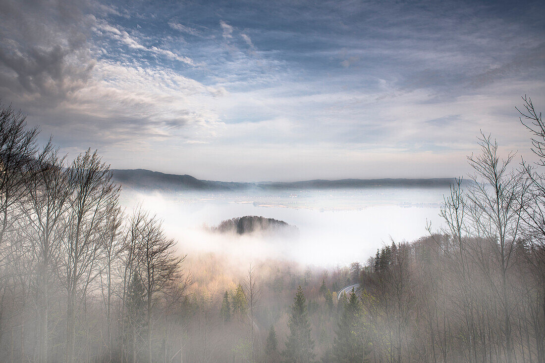 Lake Kochelsee in the morning mist, Kochel, Alps, Bavaria, Germany
