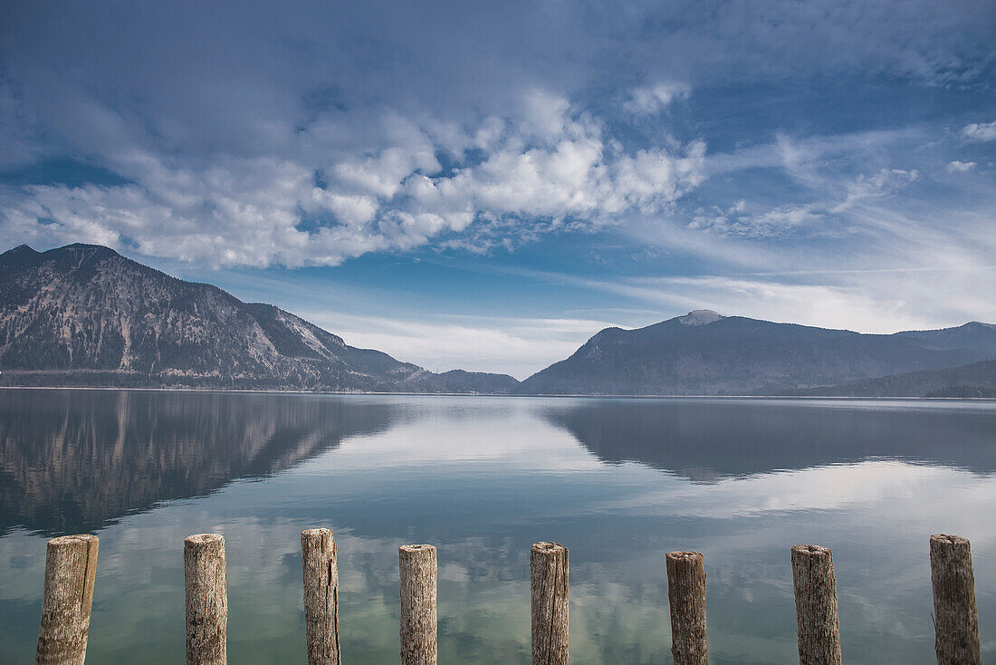 Holzpfähle stecken am Ufer des Walchensees bei Niedrigwasser mit Blick auf den Herzogstand, Walchensee, Alpen, Bayern, Deutschland