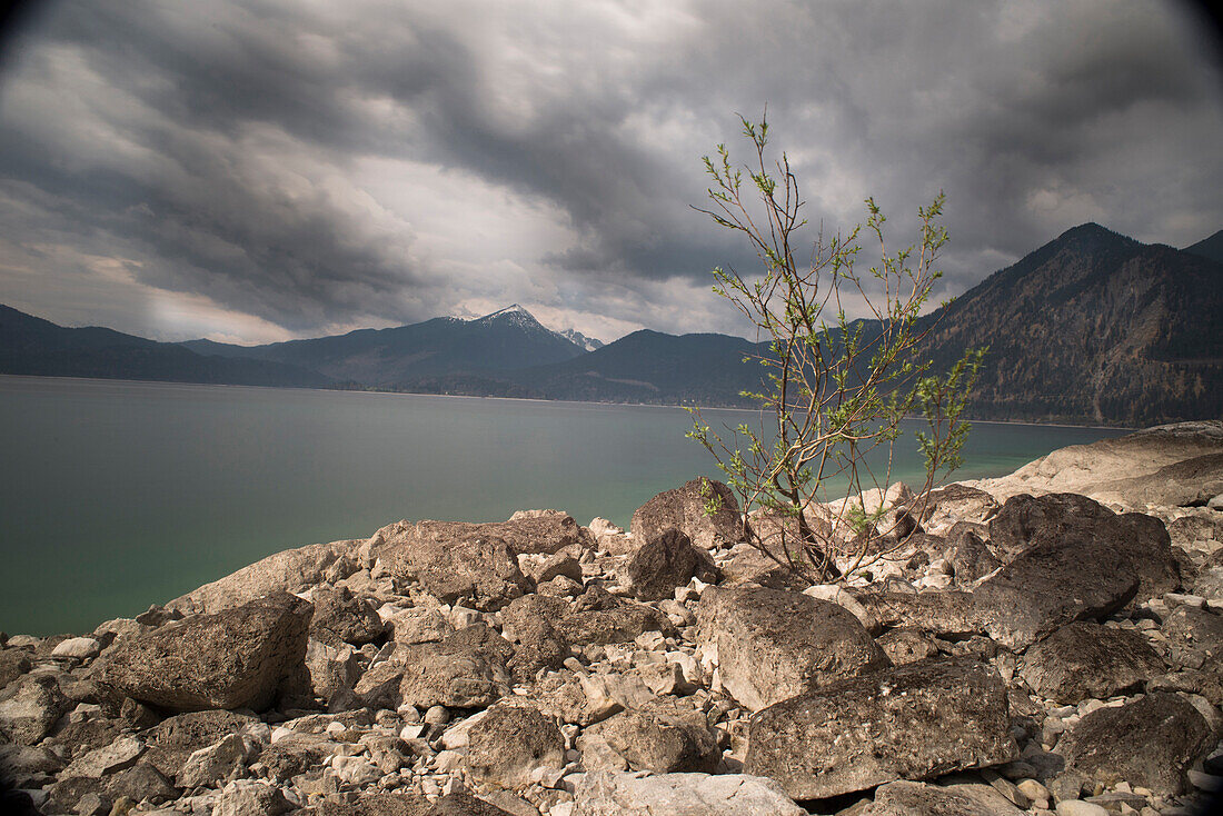 Felsufer am Walchensee bei Niedrigwasser, Walchensee, Alpen, Oberbayern, Bayern, Deutschland