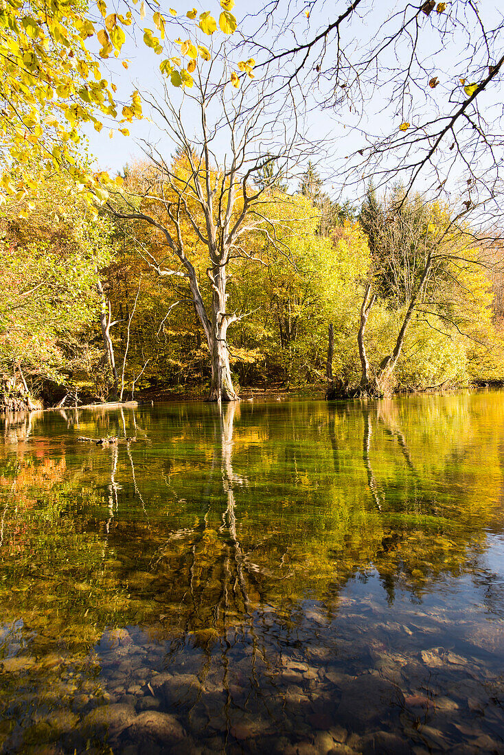 Herbstlicher Wald und Meander der Würm, Gauting, Bayern, Deutschland