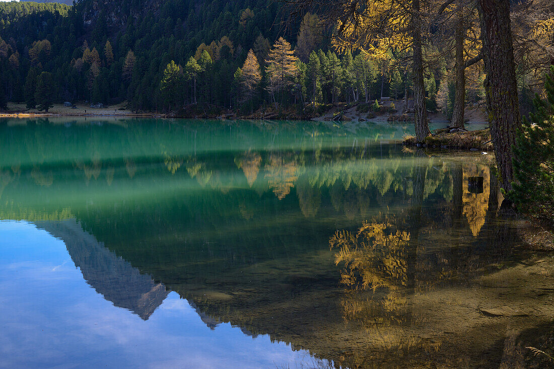 Golden larches at lake Palpuogna (1918 m), Grisons, Switzerland