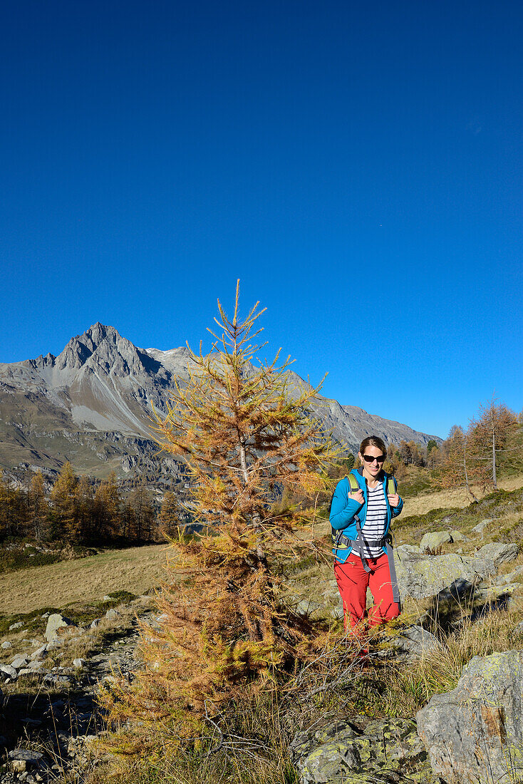 Woman hiking above Lake Sils with Piz Lagrev (3164 m) in the background, Engadin, Grisons, Switzerland