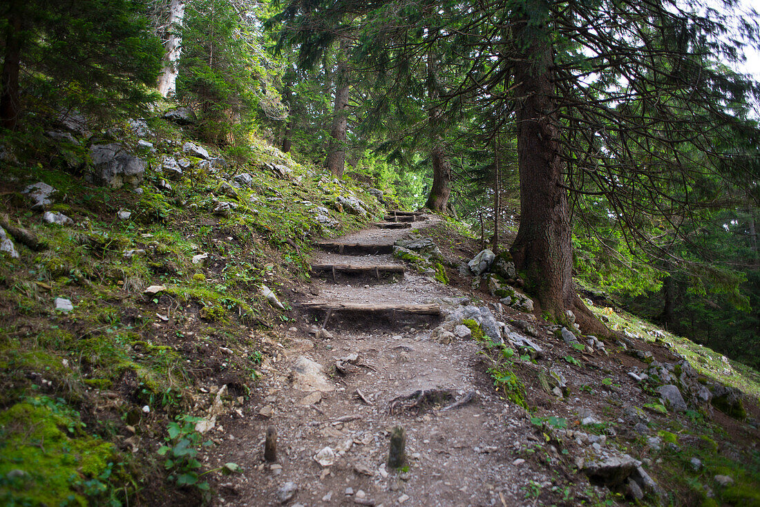 Wanderweg in den bayerischen Alpen, Tegernsee, Bayern, Deutschland