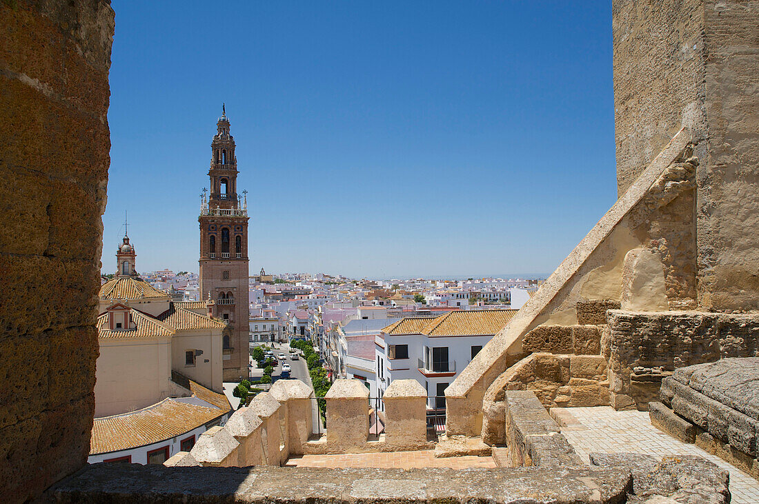 Blick über die Altstadt vom Dach des Stadtmuseums, Carmona, Provinz Sevilla, Andalusien, Spanien