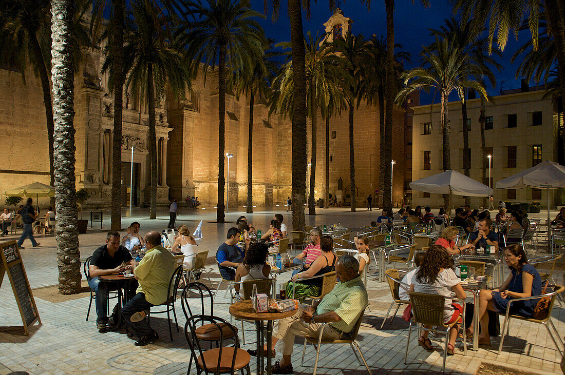 Plaza in front of the cathedral with palm trees and people at tables lit in the evening, Almeria, Andalusia, Spain