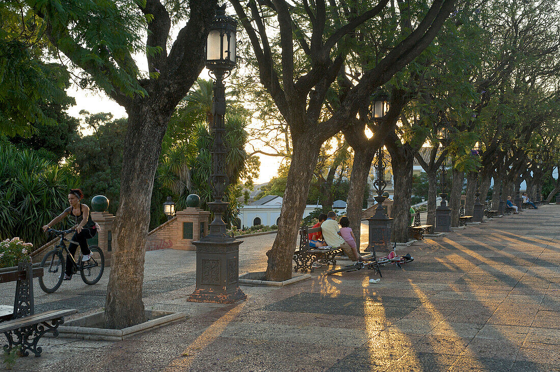 Blick auf den abendlichen Platz mit Bäumen und Radfahrern am Alcazar, Jerez de la Frontera, Provinz Sevilla, Andalusien, Spanien