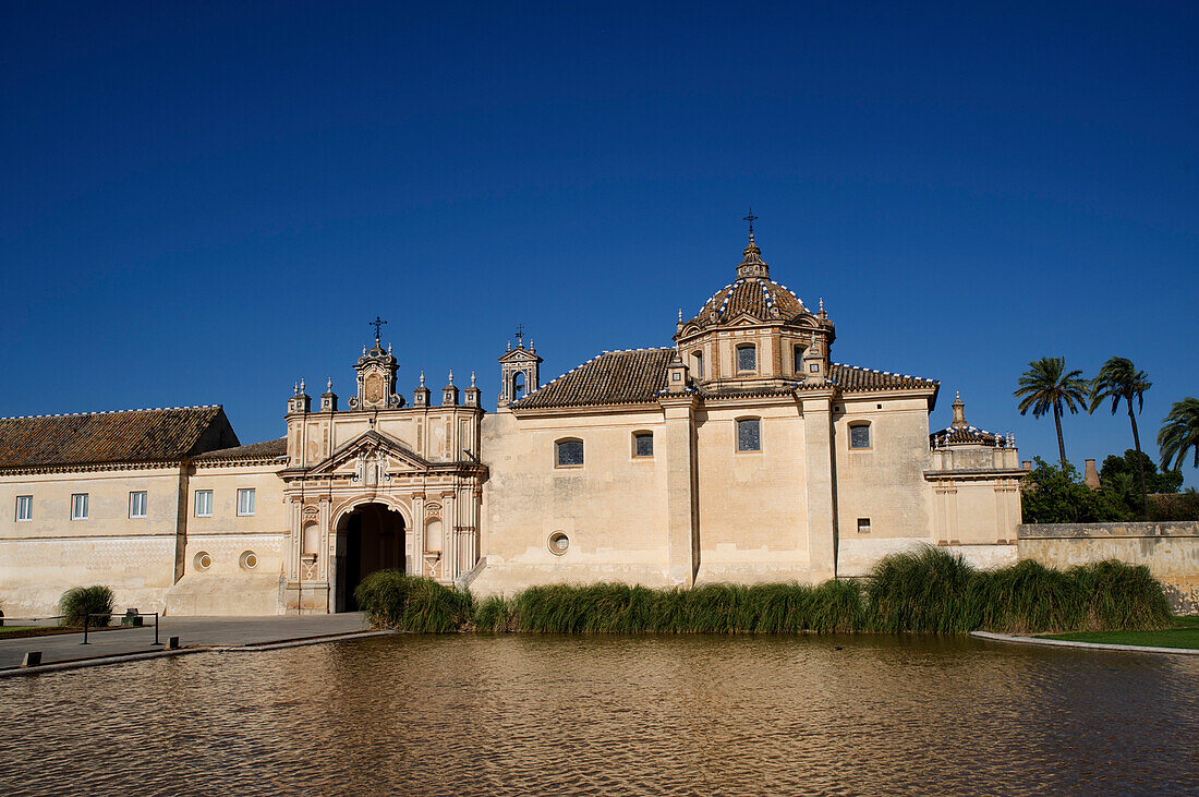 Museum for contempory art, CAAC, Centro Andaluz de Arte Contemporaneo, Monasterio de la Cartuja, Seville, Andalusia, Spain, Europe