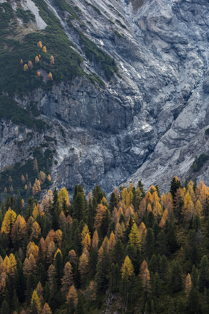 Stelvio, Stelvio, South Tyrol, Italy.