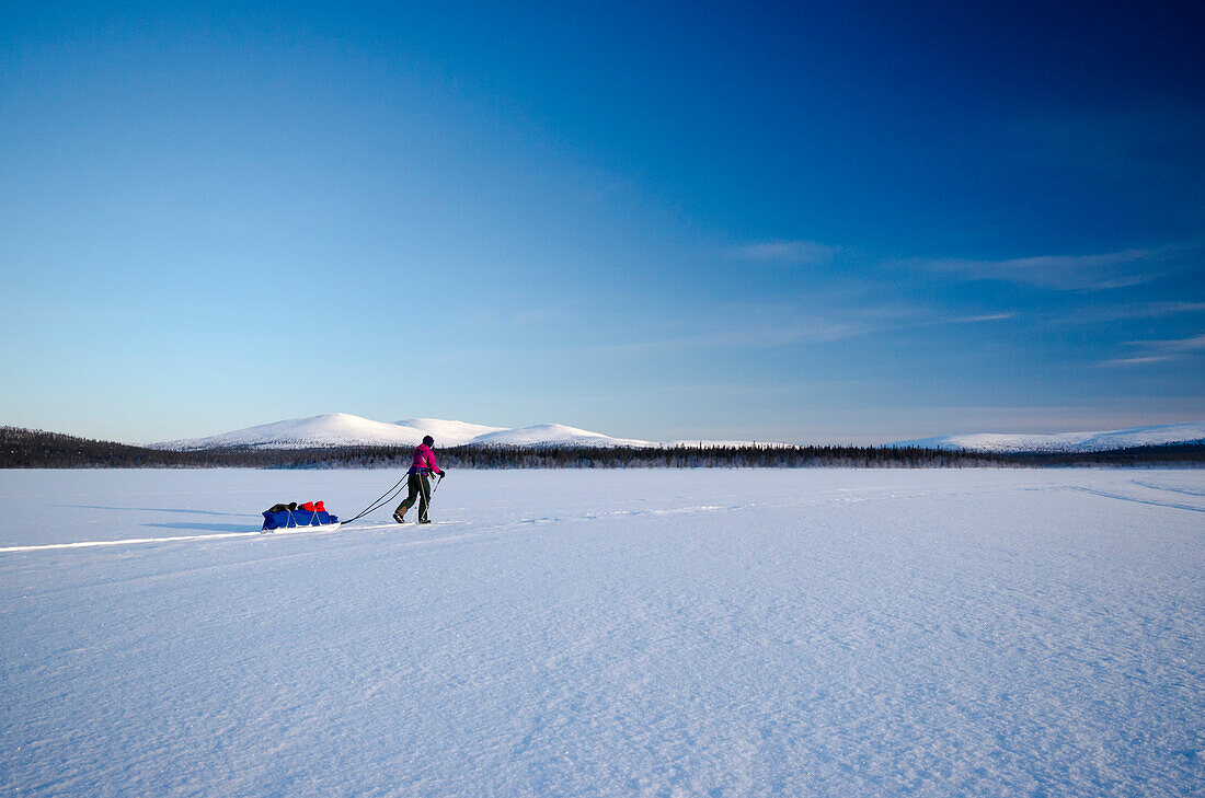 Eine Frau auf Ski zieht eine Pulka über den gefrorenen See namens Luirojärvi, Urho Kekkonen Nationalpark, finnisch Lappland, Finnland