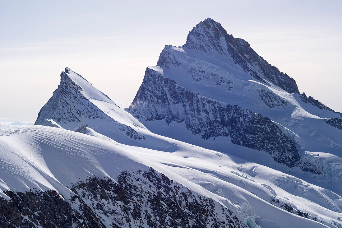 Das Finsteraarhorn mit dem kleineren Nachbarn namens Agassizhorn, Berner Alpen, Kantone Wallis und Bern, Schweiz