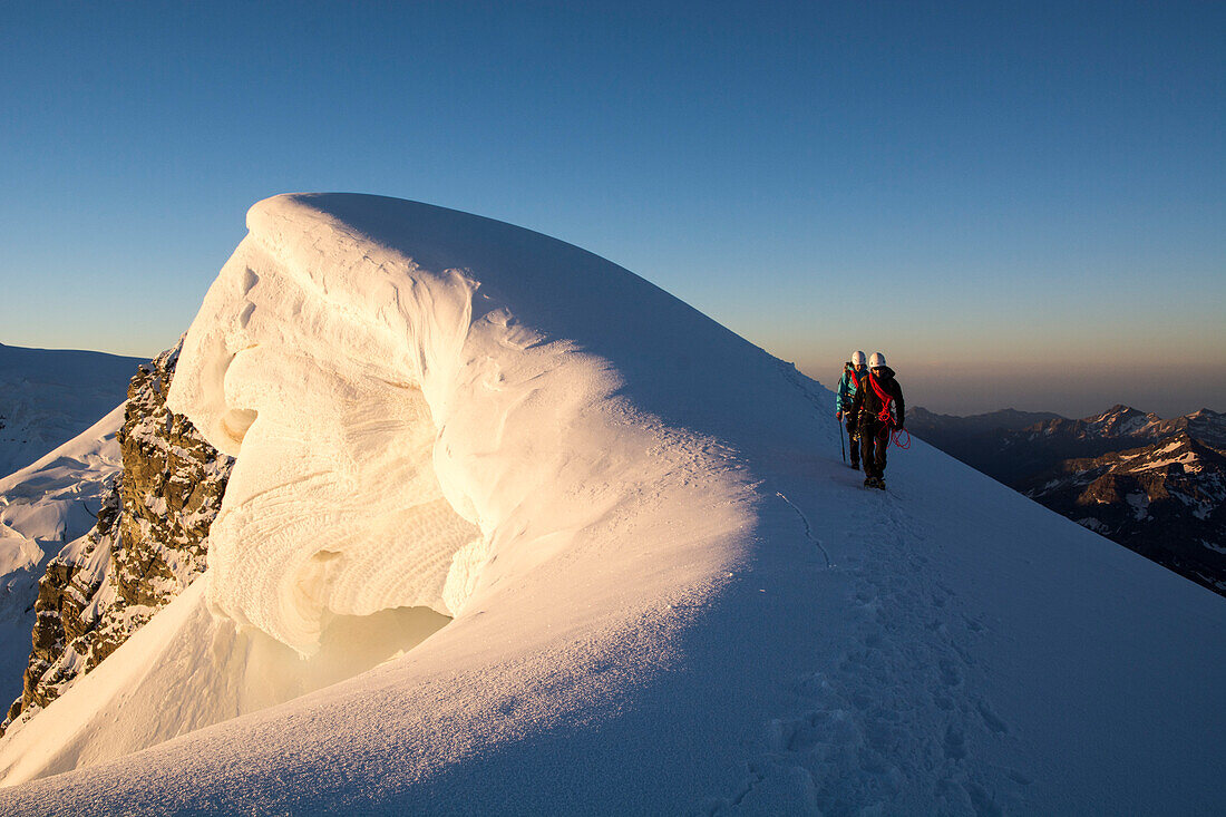 A male and a female alpinist on the summit ridge of Roccia Nera, one of the five summits of the Breithorn massif, next to them big cornices, Valais Alps, canton of Valais and region of Aosta Valley, national border of Switzerland and Italy