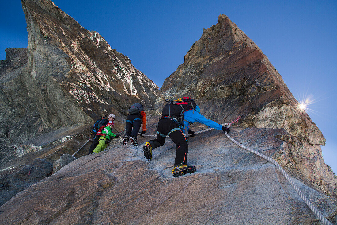 Mountaineers ascending the crux section of the southwest ridge of Pollux holding on to fixed ropes, Valais Alps, canton of Valais and region of Aosta Valley, national border of Switzerland and Italy