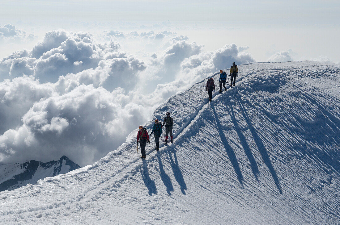 Zwei Seilschaften zu je drei Mann gehen über den luftigen Firngrat im obersten Teil des Südgrats des Weissmies, Walliser Alpen, Kanton Wallis, Schweiz