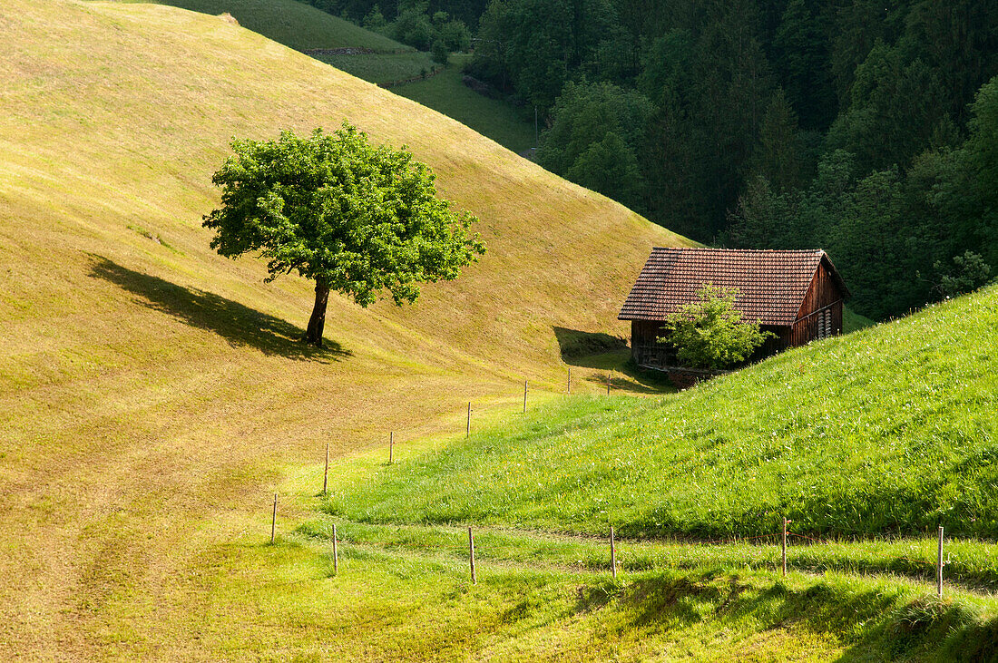 A stable near the village of Sool, Glarus Alps, canton of Glarus, Switzerland