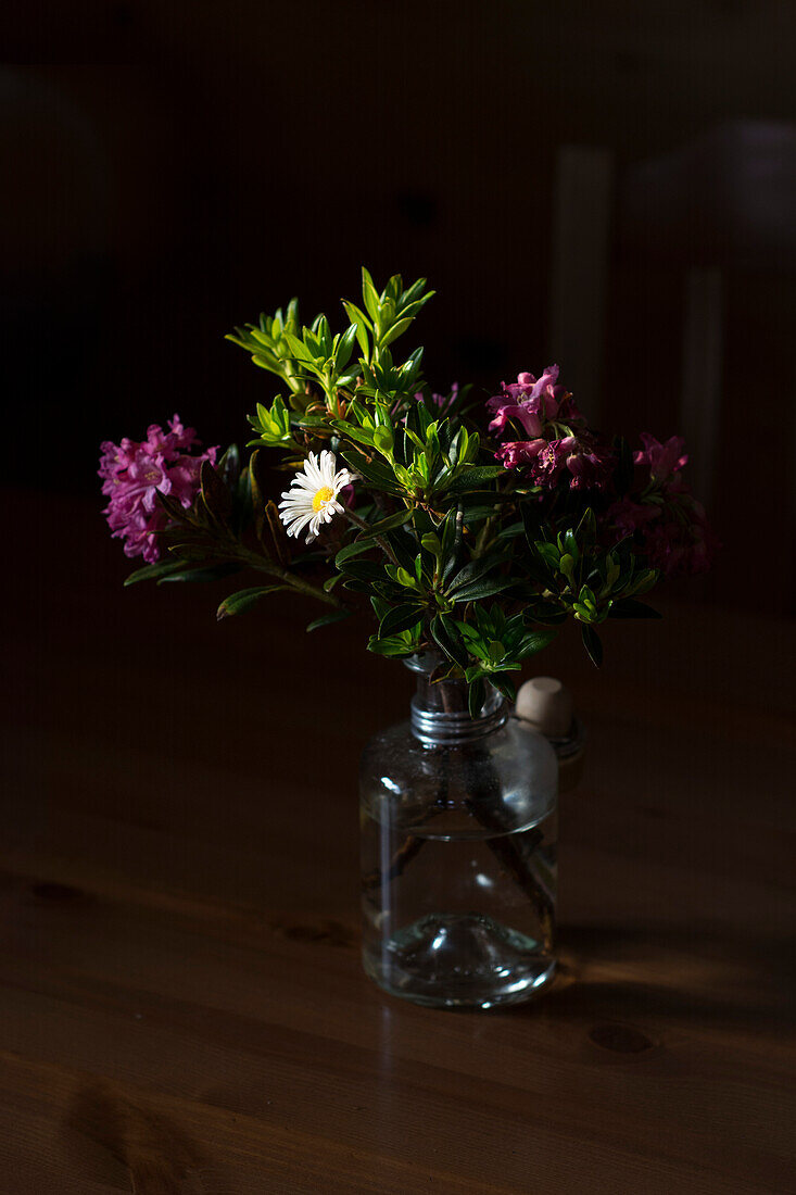 A bouquet of flowers made of alpine roses and a marguerite on a wooden table, Cousimbert Hut on the summit of Cousimbert, foothills of Fribourg, canton of Fribourg, Switzerland