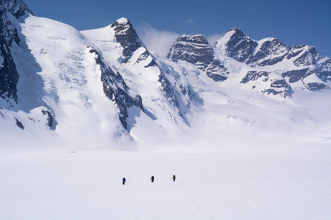 Drei Skitourengänger auf der weiten Gletscherfläche des Konkordiaplatzes, dahinter in der rechten Bildseite die Gipfel der Jungfrau, Grosser Aletschgletscher, Berner Alpen, Kanton Wallis, Schweiz