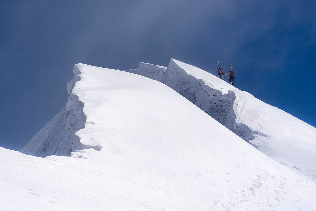Eine Bergsteigerin und ein Bergsteiger mit aufgebundenen Tourenski steigen in einer steilen Schneeflanke auf, neben ihnen grosse Wächten, Gipfel der Roccia Nera, Breithorn Massiv, Walliser Alpen, Kanton Wallis und Region Aostatal, Landesgrenze Schweiz und