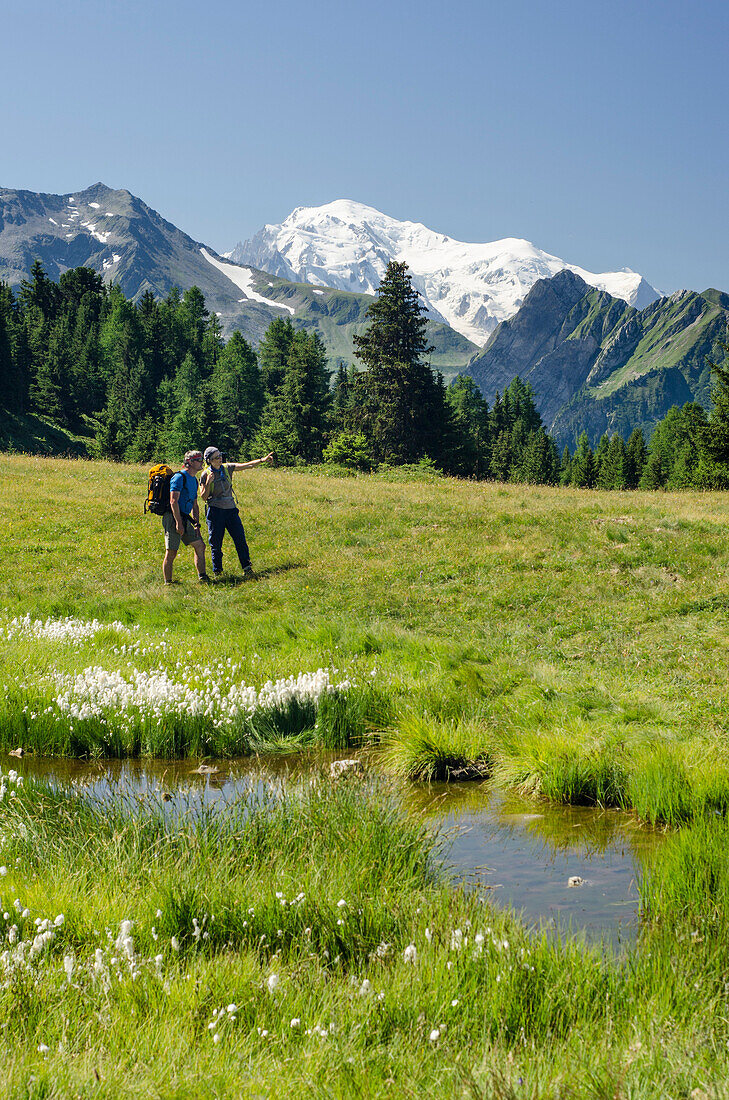 A female and a male hiker are standing on a meadow, in front a small lake with blossoming cotton grass on Mont de l'Arpille, behind them Mont Blanc, Pennine Alps, canton of Valais, Switzerland