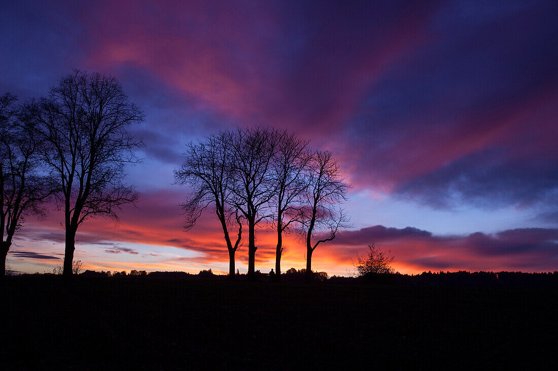 Evening sky, Icking, Upper Bavaria, Germany
