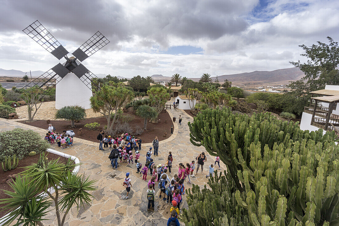 Restaurierte Mühle von Antigua, Fuerteventura, Kanaren, Spanien