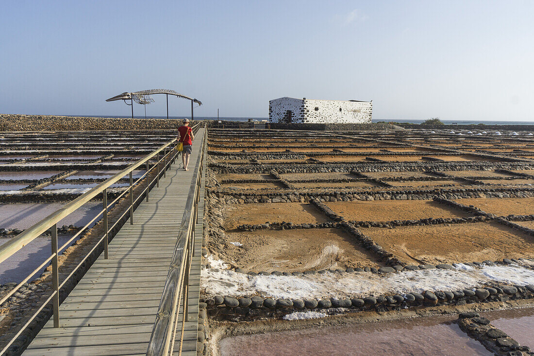 Saline in Caleta de Fuste, Fuerteventura, Canary Islands, Spain