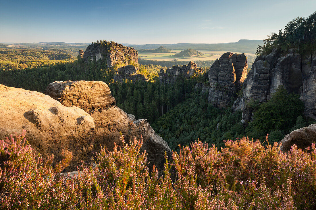 Ausblick über den Rauschengrund zum Rauschenstein in der Abendsonne im Sommer, Elbsandsteingebirge, Nationalpark Sächsische Schweiz, Sachsen, Deutschland