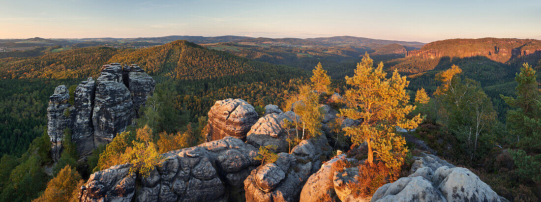 Panorama at Muellerstein in the last evening light with rocks and pine trees in the foreground, National Park Saxon Switzerland, Saxony, Germany