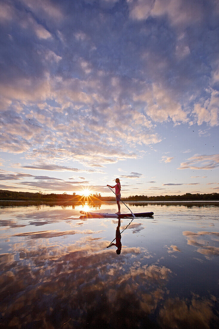 Woman stand up paddling on lake Chiemsee in sunset, Chiemgau, Bavaria, Germany