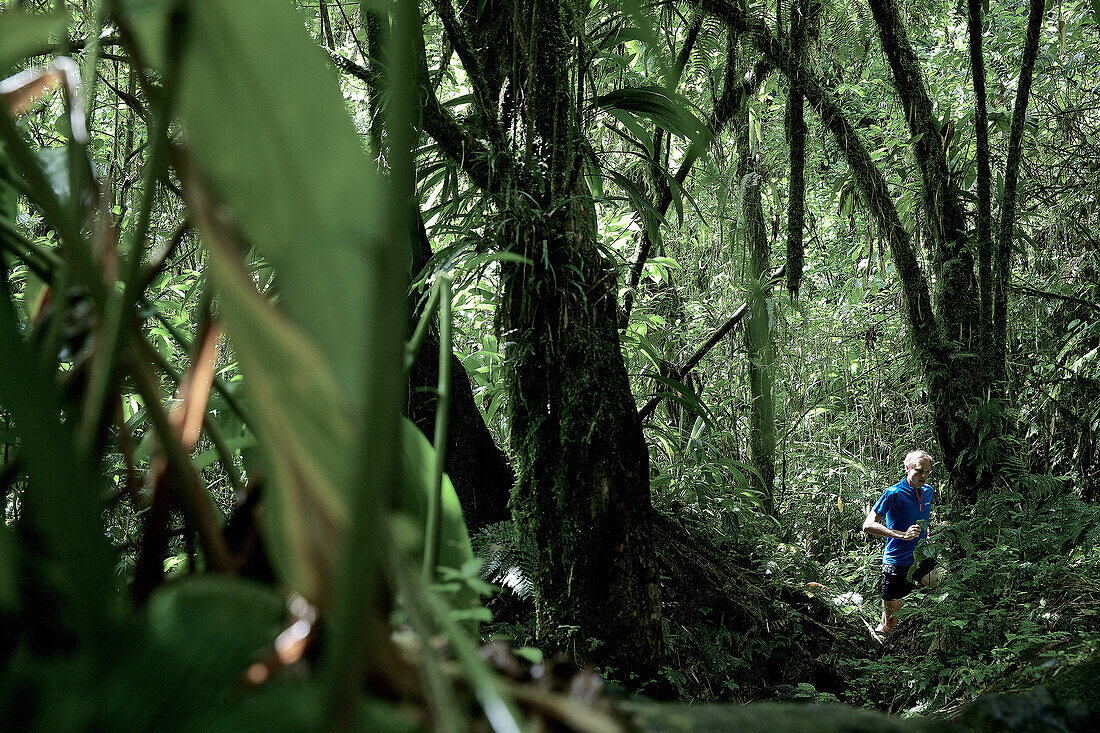 Junger Mann läuft durch den Dschungel, Dominica, Kleine Antillen, Karibik