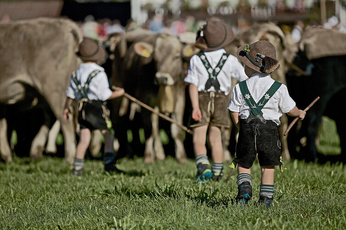 Jungen in Tracht auf einer Wiese beim Viehscheid, Allgäu, Bayern, Deutschland