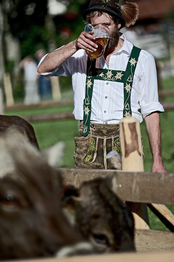 Mann in Tracht trinkt einen Krug Bier, Viehscheid, Allgäu, Bayern, Deutschland