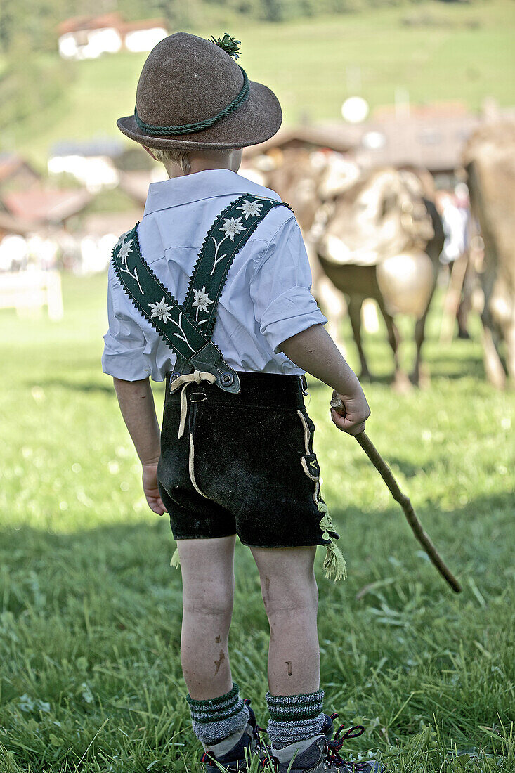 Junge in Tracht auf einer Wiese beim Viehscheid, Allgäu, Bayern, Deutschland