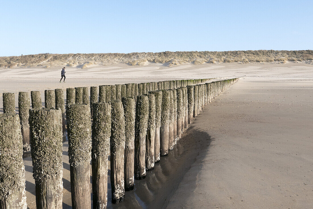 beach, groyne, Domburg, North Sea Coast, Zeeland, Netherlands