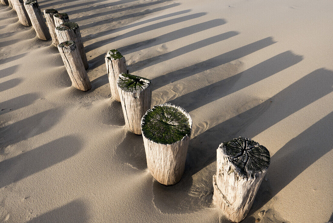 Strand, Buhne, Domburg, Nordsee-Küste, Provinz Seeland, Niederlande