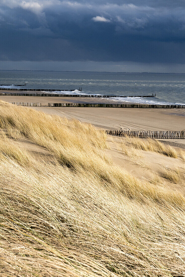 Küste mit Sandstrand, Buhne, Westkapelle bei Domburg, Nordsee-Küste, Provinz Seeland, Niederlande